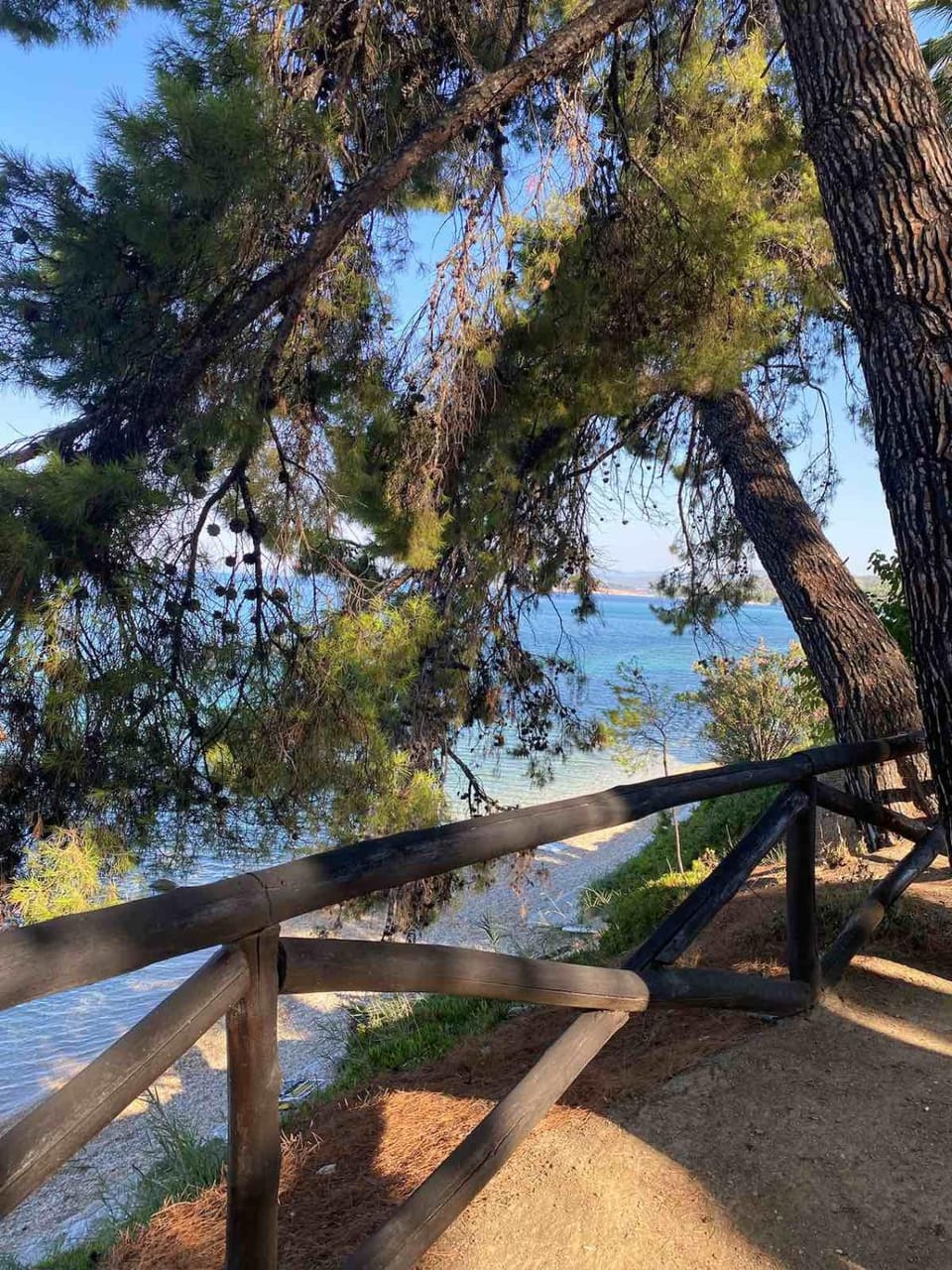 Garden, Sea view