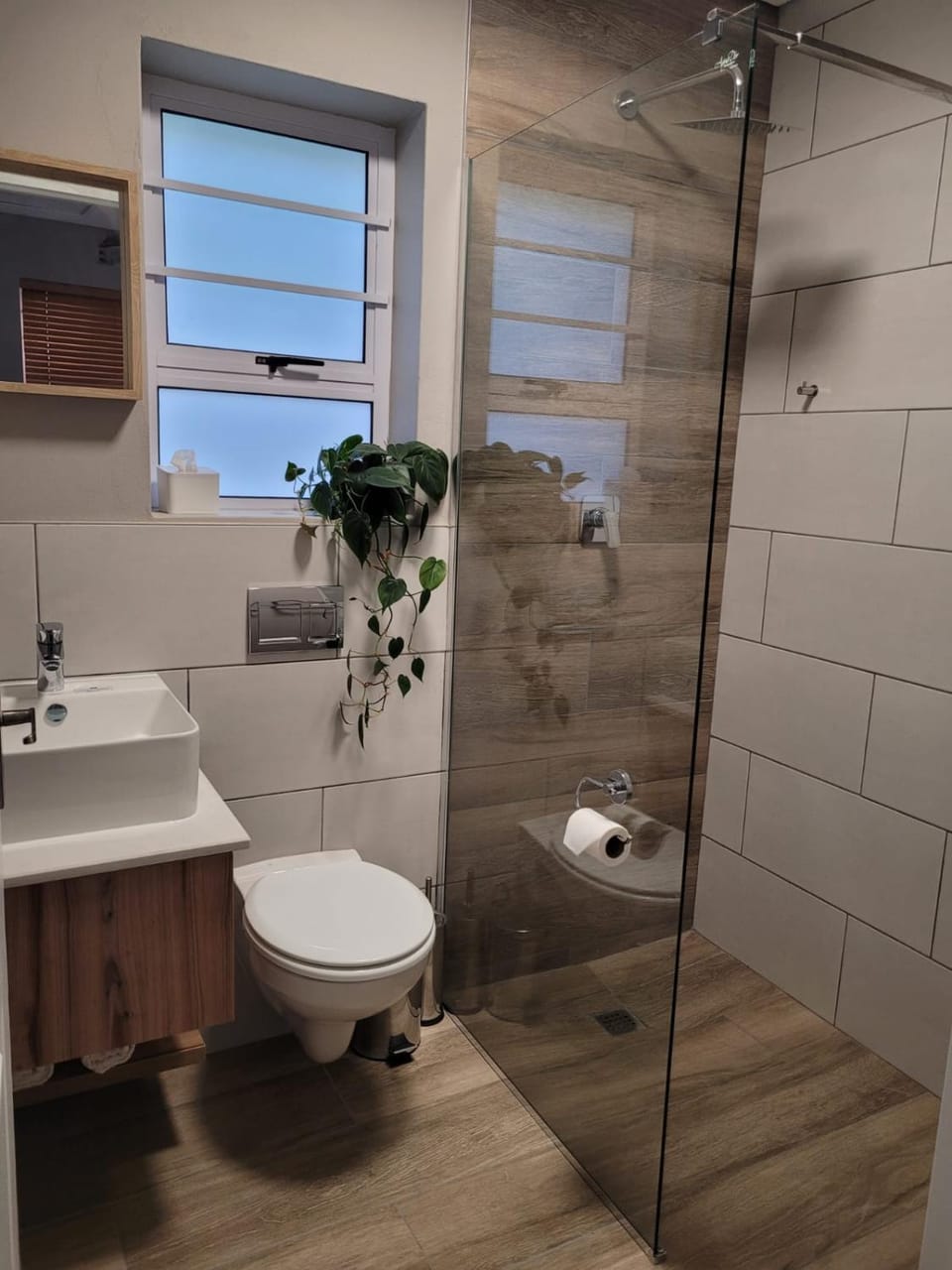 Shower, Toilet, towels