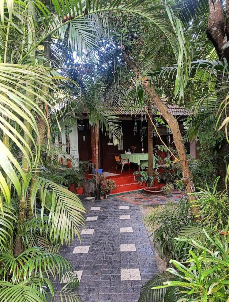 Garden view