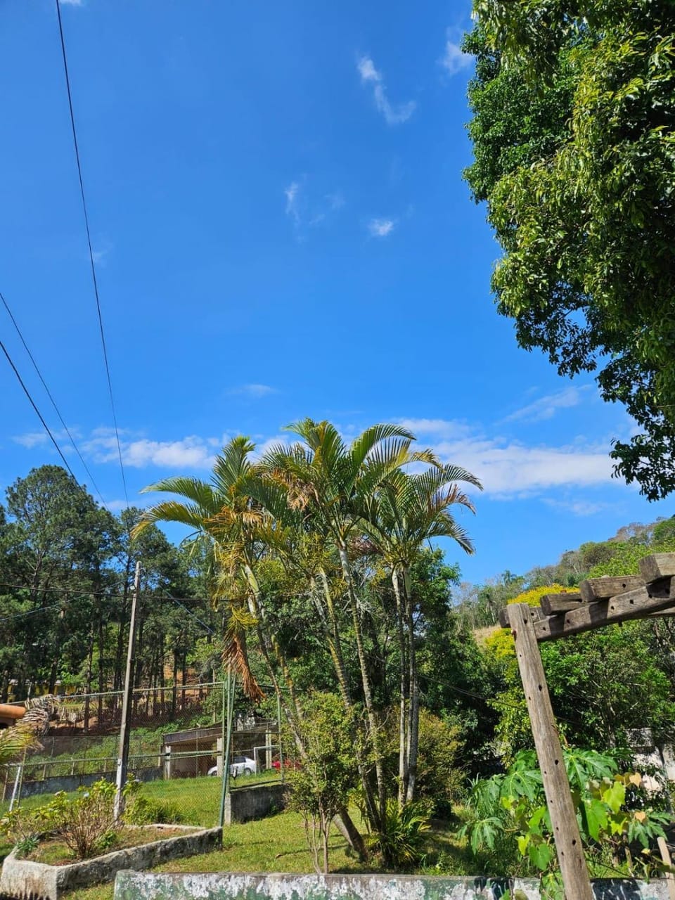 Natural landscape
