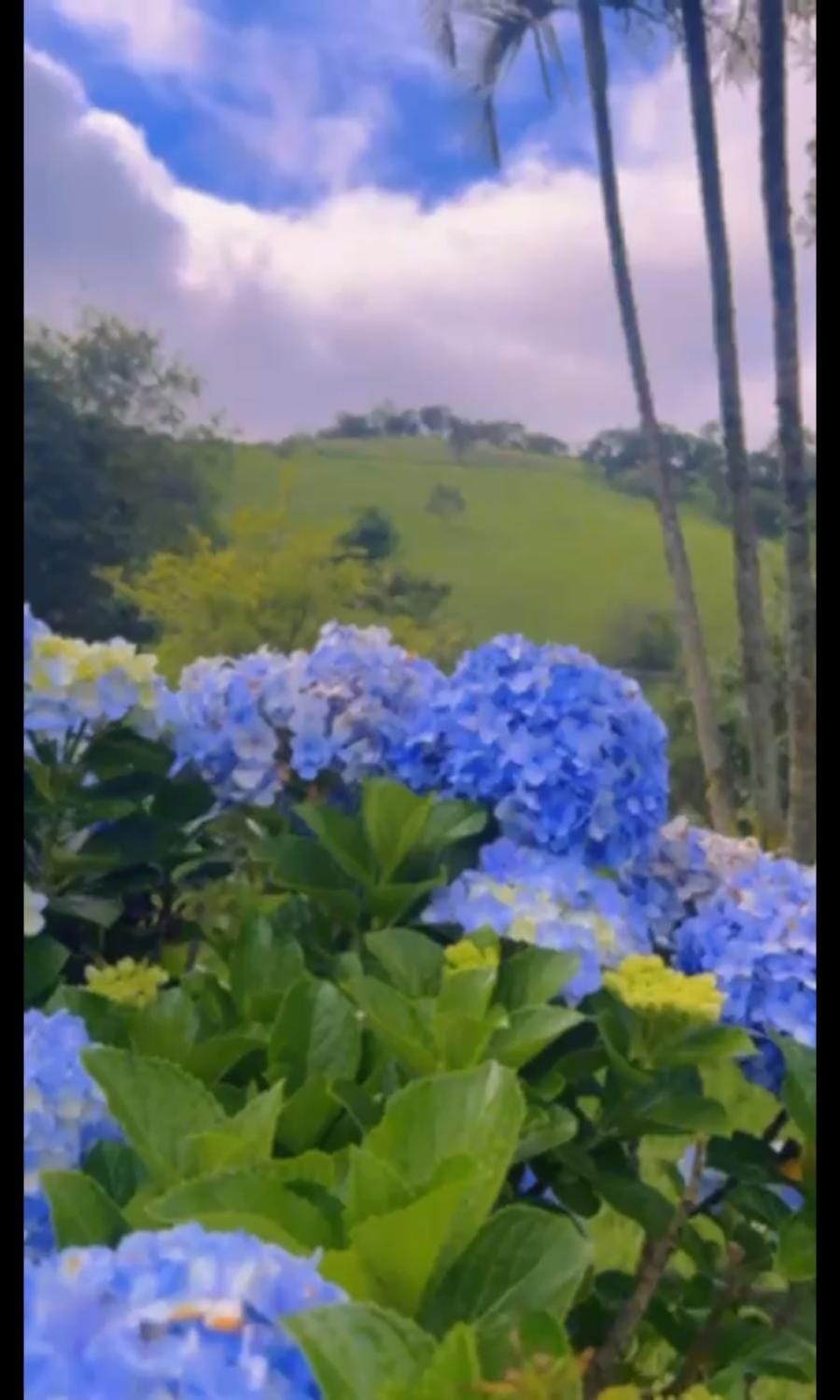 Spring, Natural landscape, Mountain view