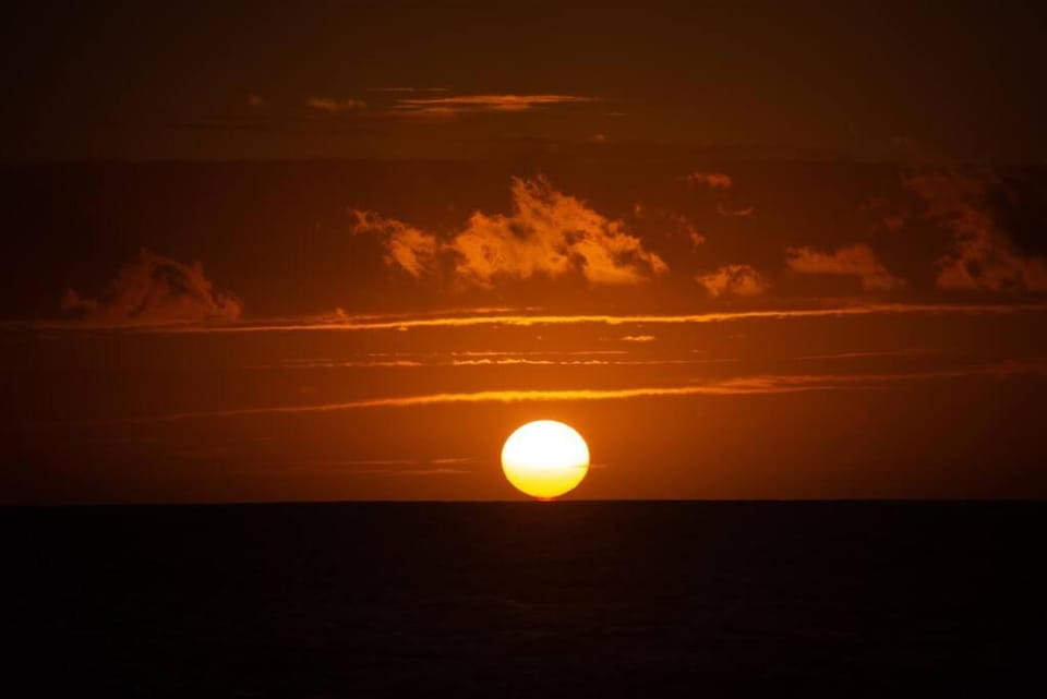 NEW! HARMONY HOUSE - Enjoy a little Peace of Aloha! House in Captain Cook