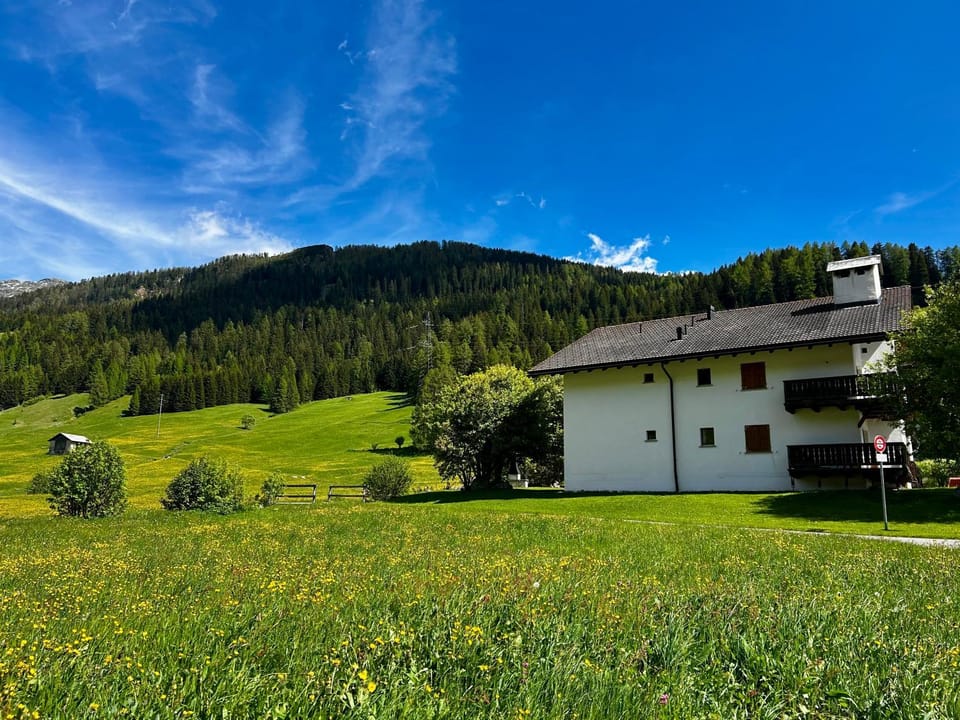 Cosy studio apartment in Splügen Apartment in Canton of Grisons