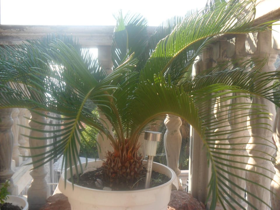 Marko Apartment Apartment in Montenegro