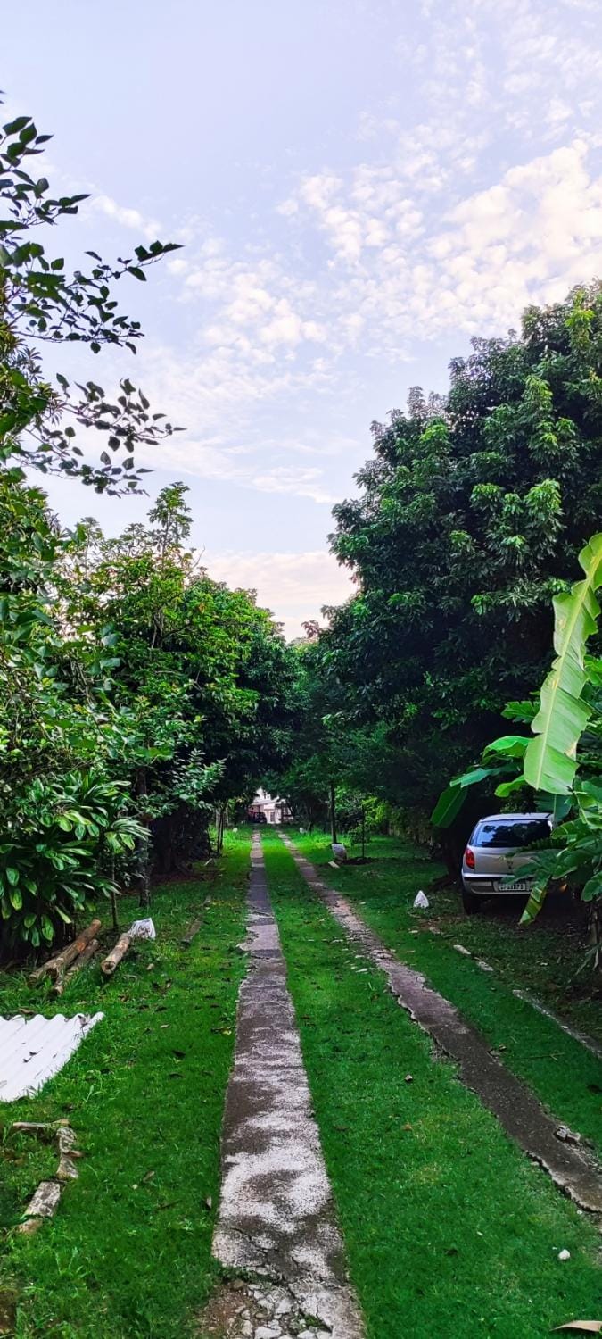 Natural landscape, Garden, Garden view, Parking
