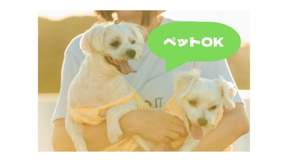 pet friendly