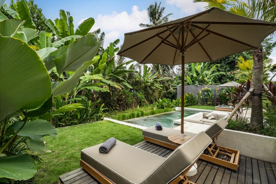 Garden, Living room, Seating area, Garden view, Pool view, Swimming pool, sunbed