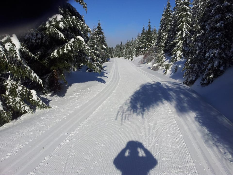 Skiing