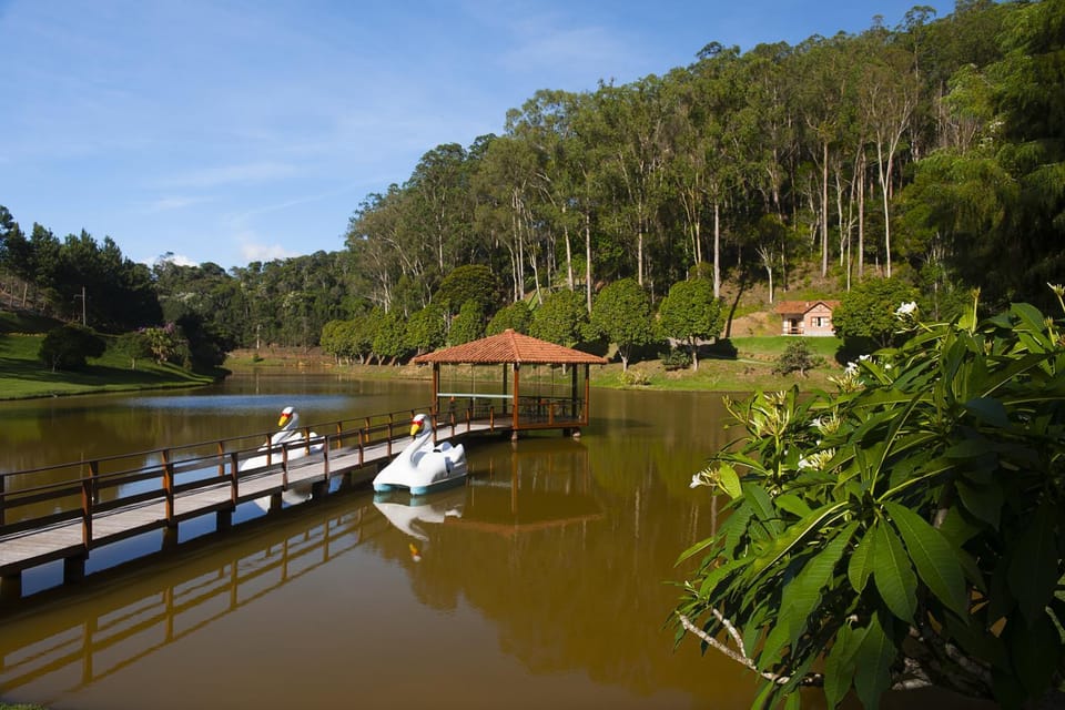Natural landscape, Lake view