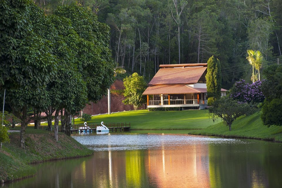 Restaurant/places to eat, River view