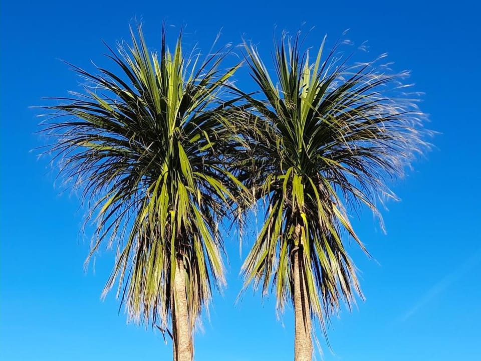 The Granary House in Scotland