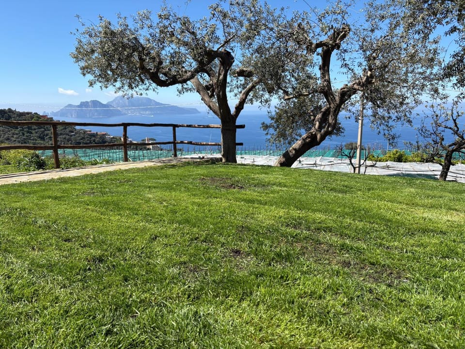 Bilocale Il Nido Apartment in Massa Lubrense