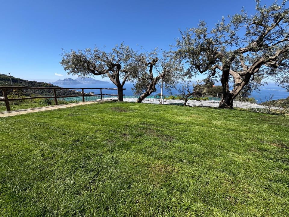 Bilocale Il Nido Apartment in Massa Lubrense