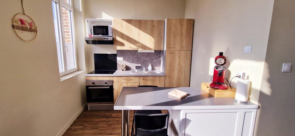 Kitchen or kitchenette, oven, stove, toaster
