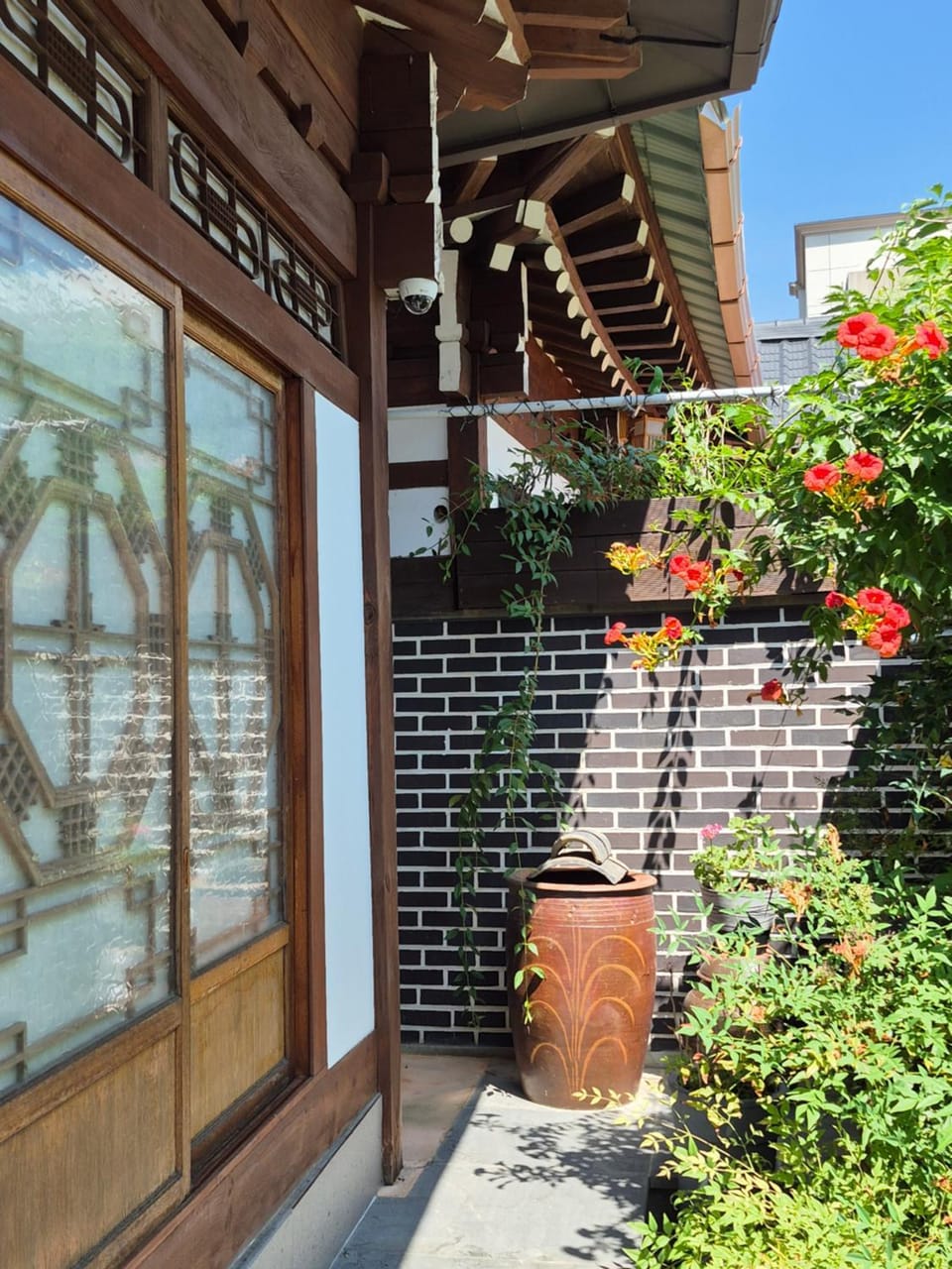 Property building, Garden view