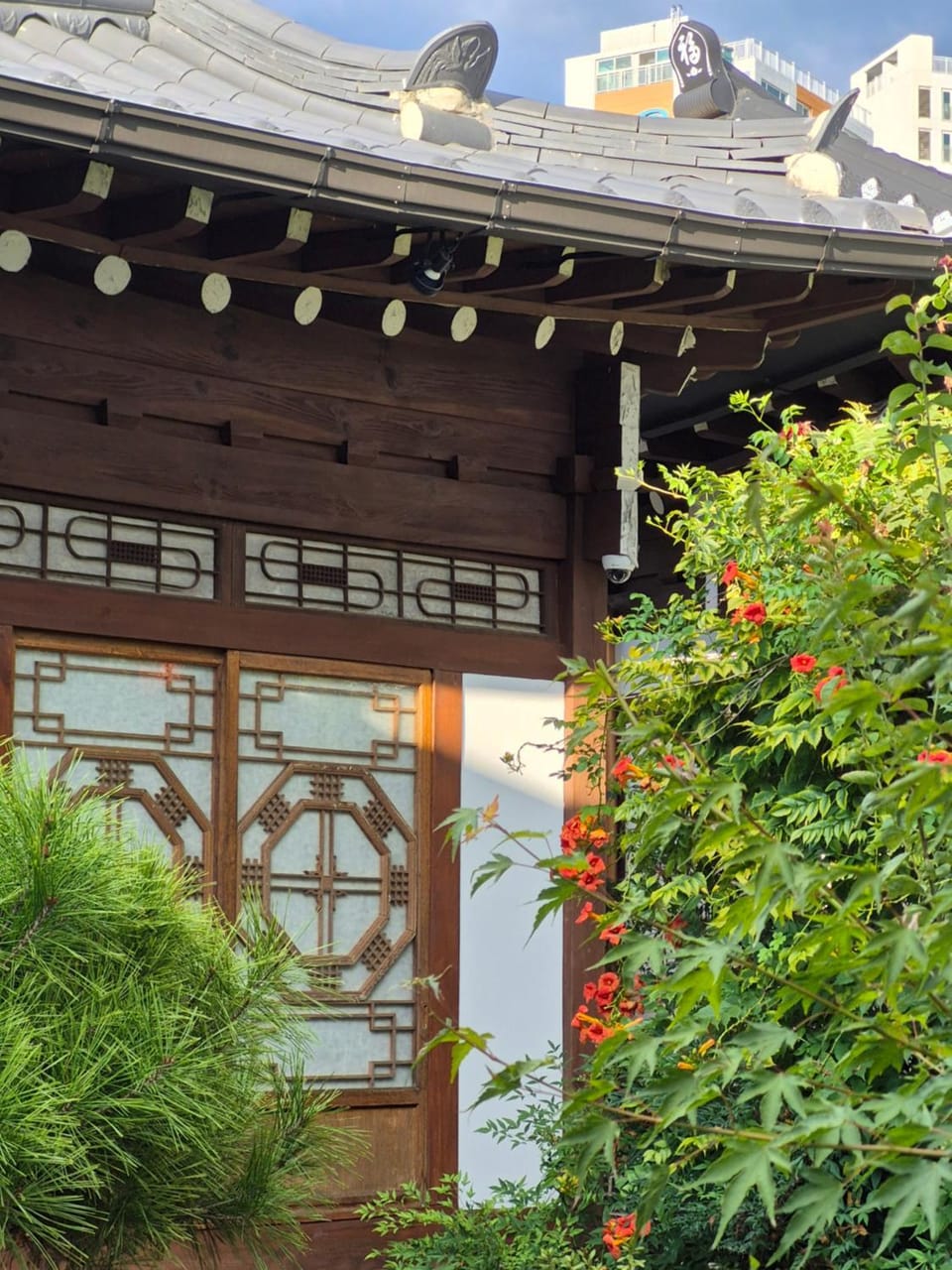 Property building, Garden, Garden view