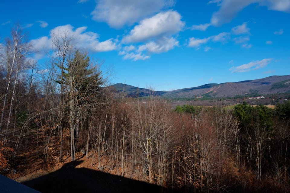 View (from property/room)
