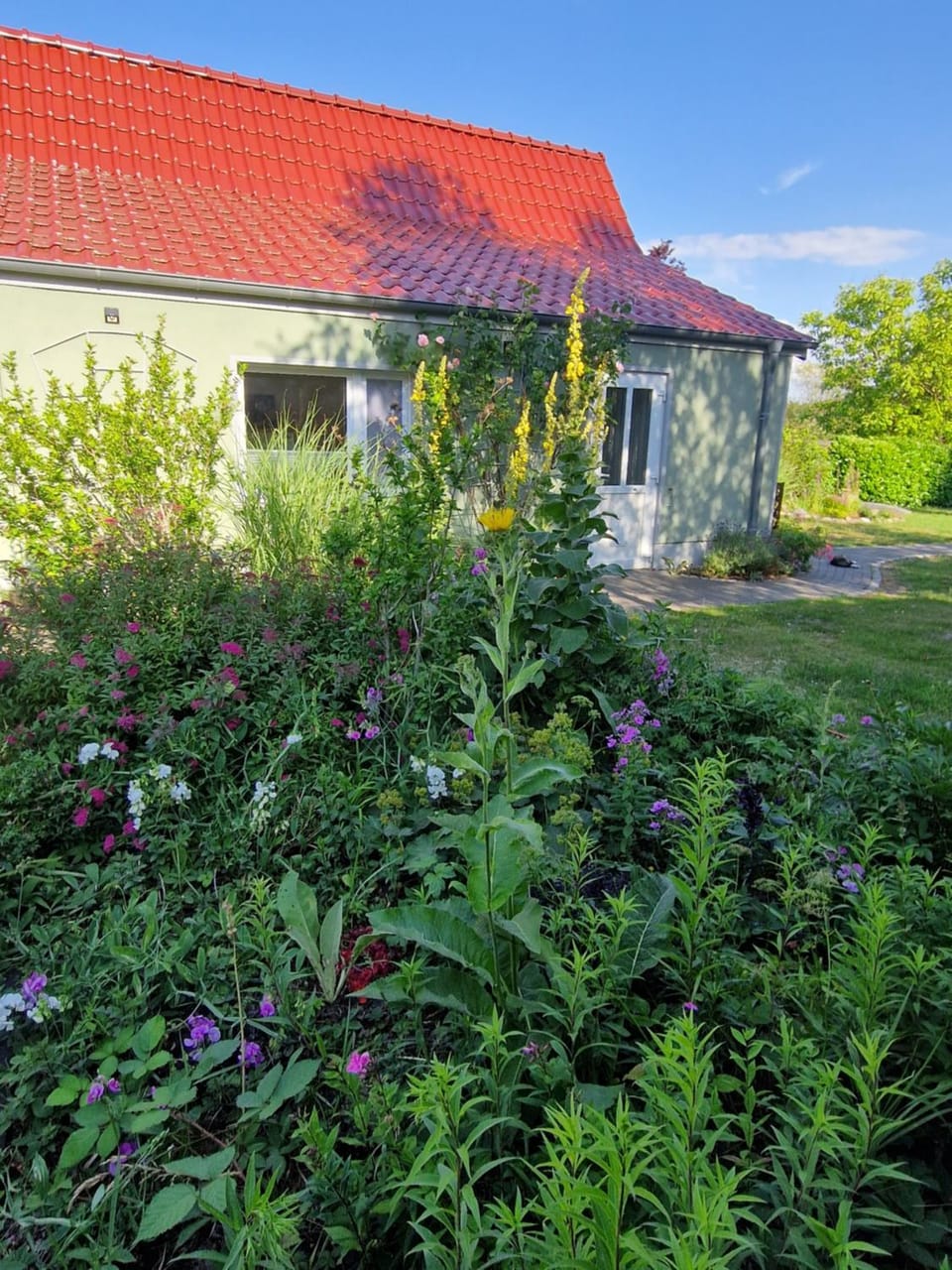 Property building, Garden, Garden view