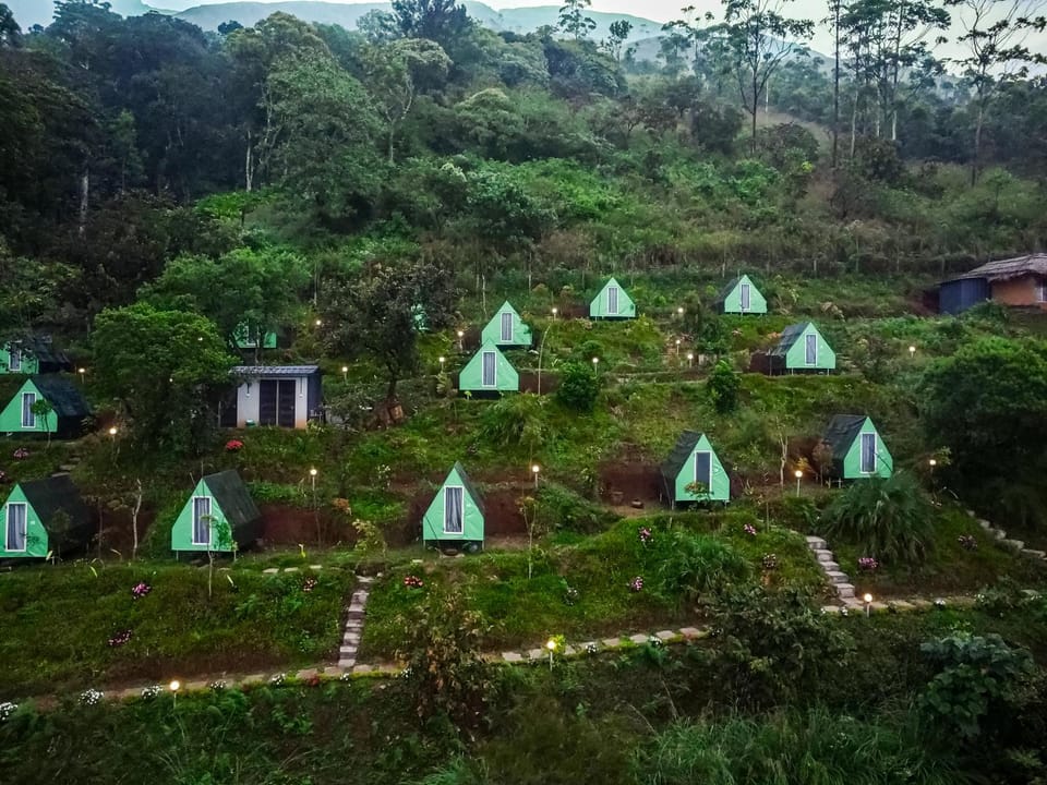 Day, Garden