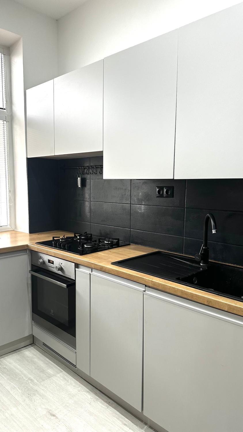 Kitchen or kitchenette, dishwasher, stove