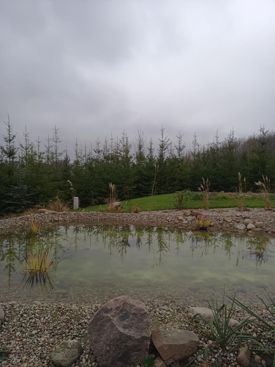 Lake view