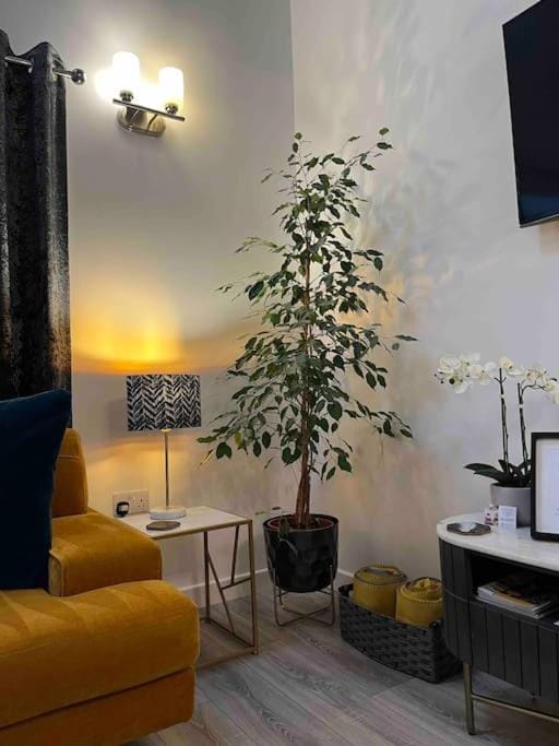 TV and multimedia, Seating area
