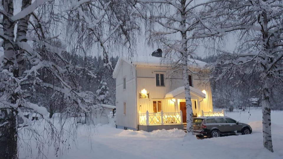 Property building, Fishing, Skiing, Canoeing