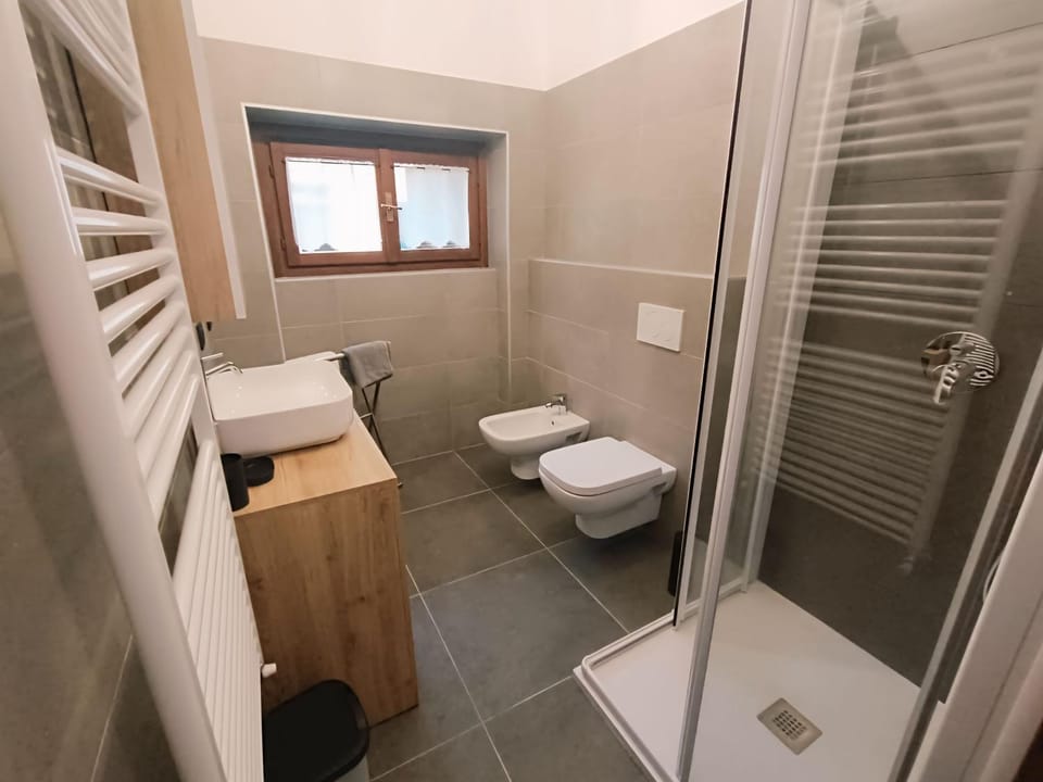 Shower, Toilet, Bathroom, bidet