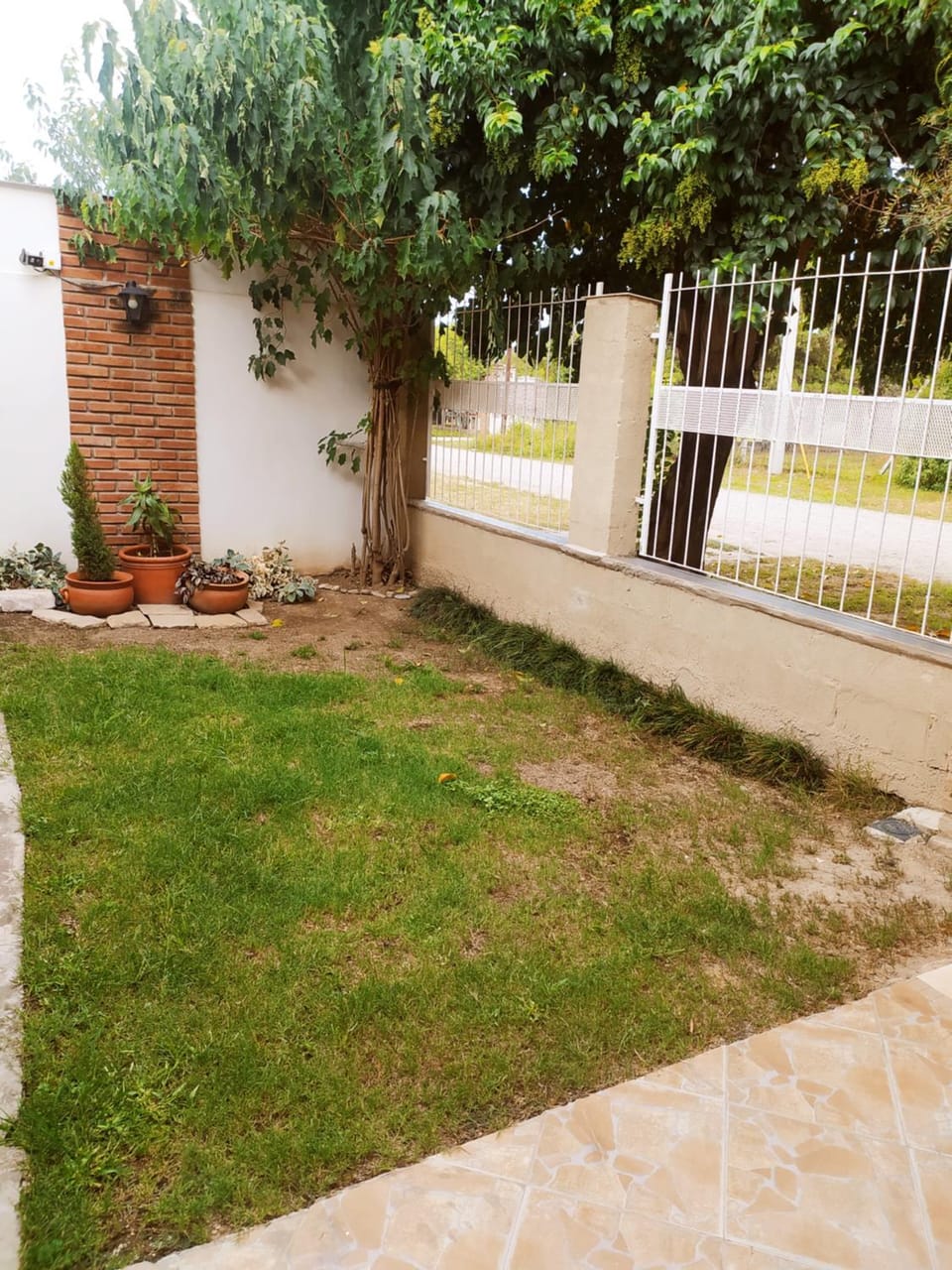Garden view