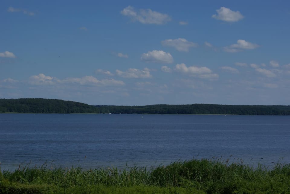 Lake view