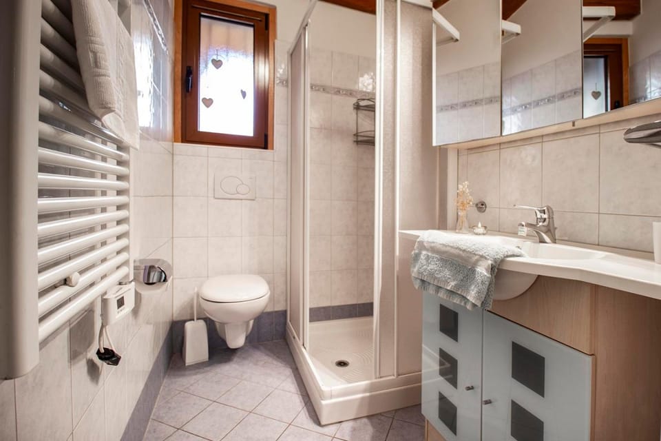 Shower, Toilet, Bathroom, towels