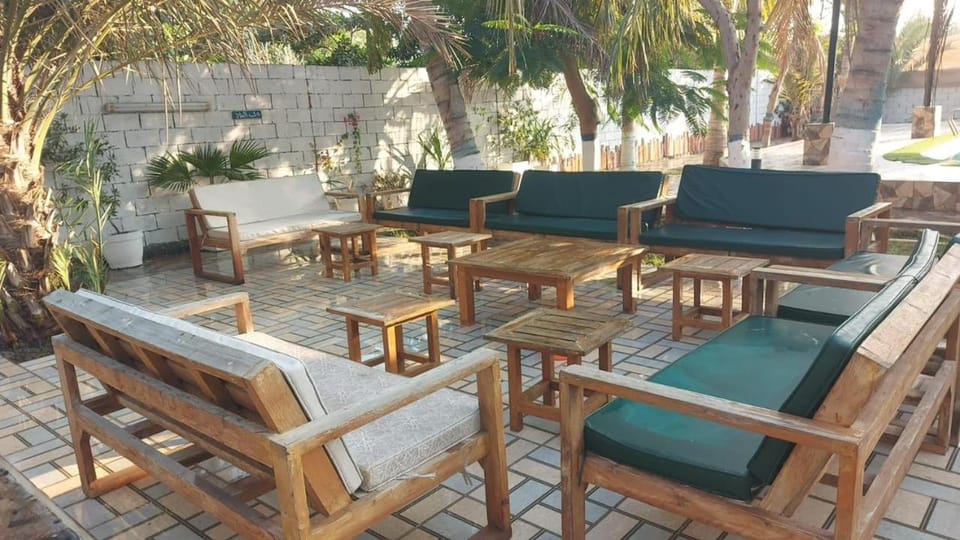 Patio, Day, Garden, Balcony/Terrace, Seating area