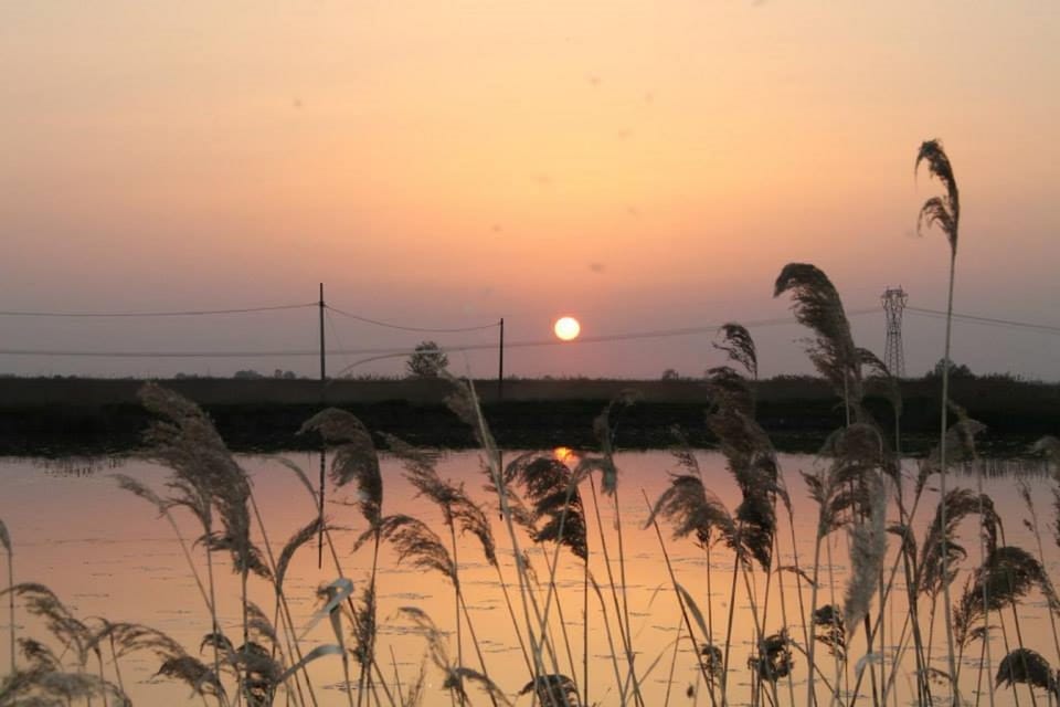 La Tomina Country House in Emilia-Romagna