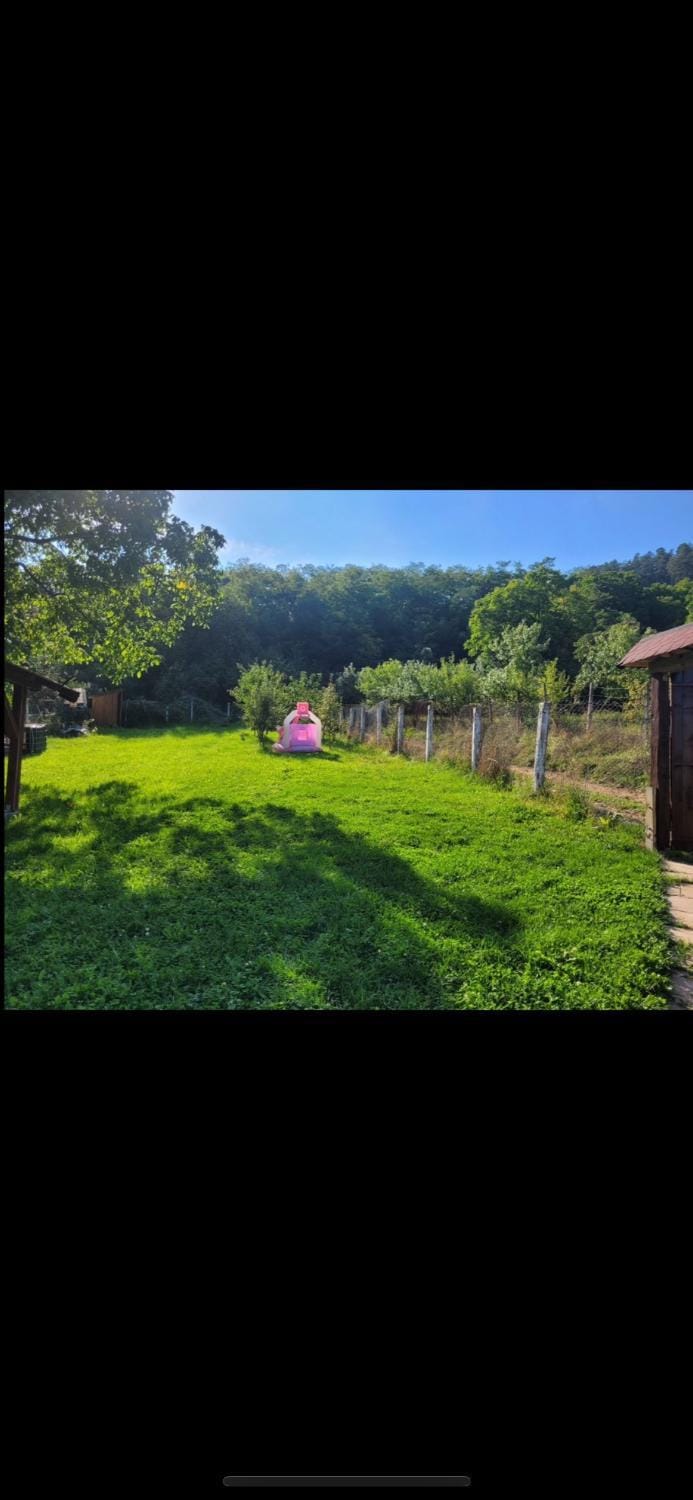 Cabana Goia Nature lodge in Romania