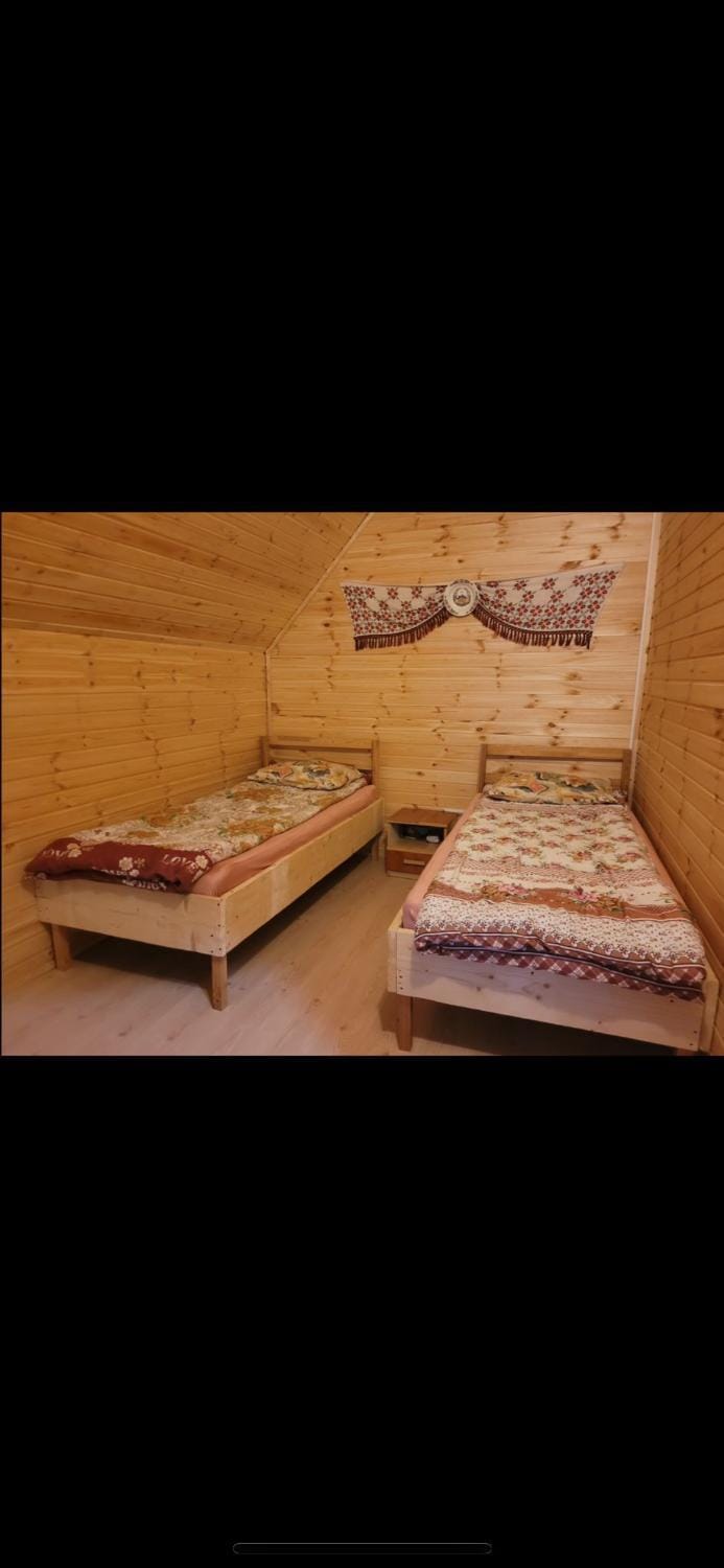 Cabana Goia Nature lodge in Romania