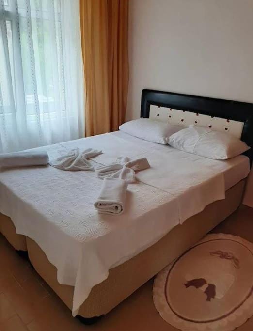 Dardanelles Home Villa in Turkey