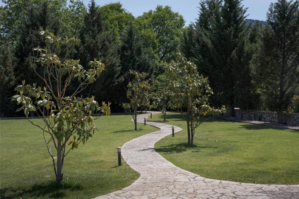 Spring, Day, Natural landscape, Garden, Garden view