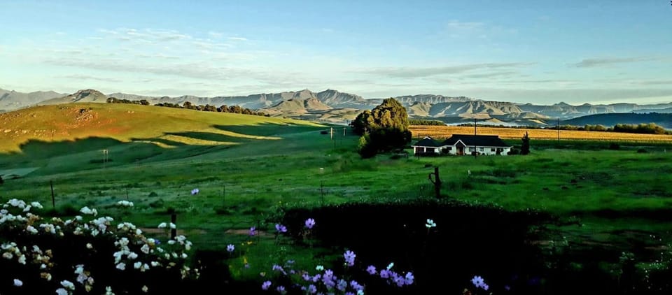 Mountain view