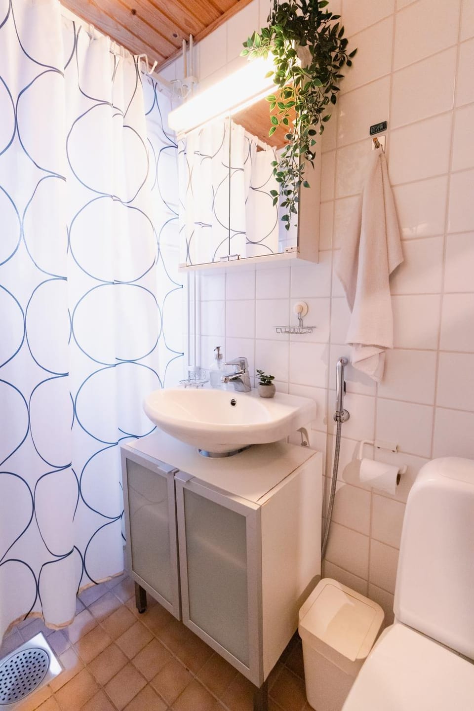 Toilet, Bathroom