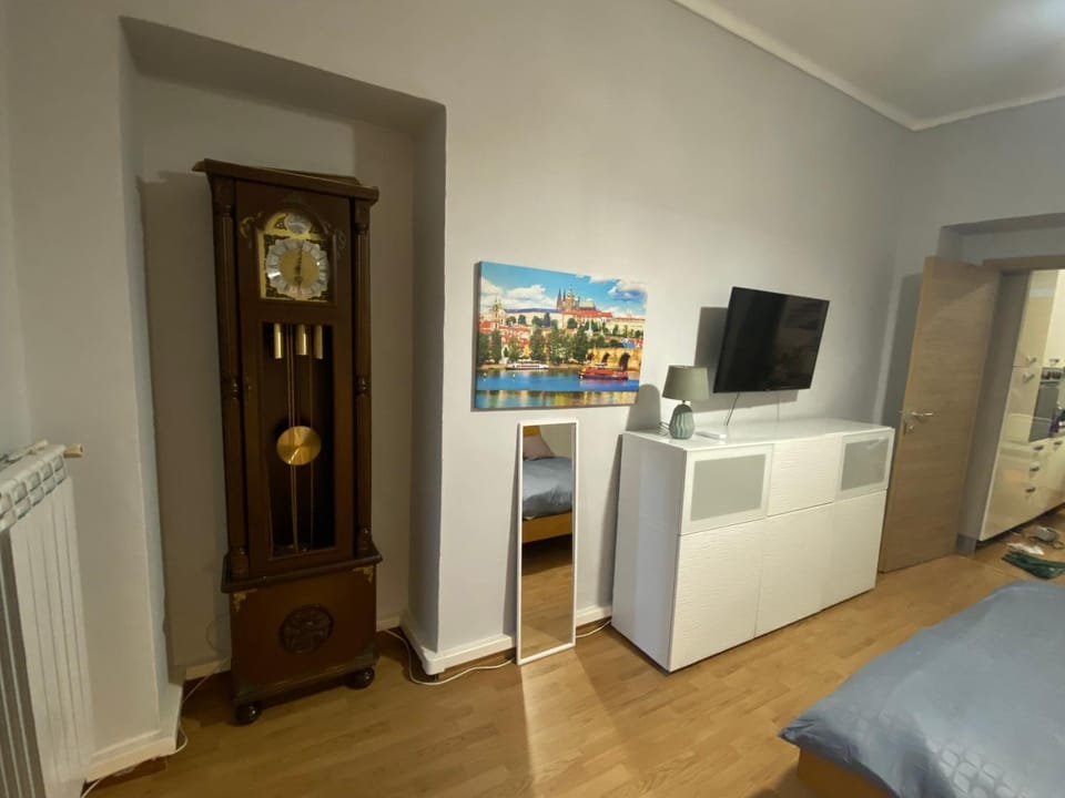 TV and multimedia