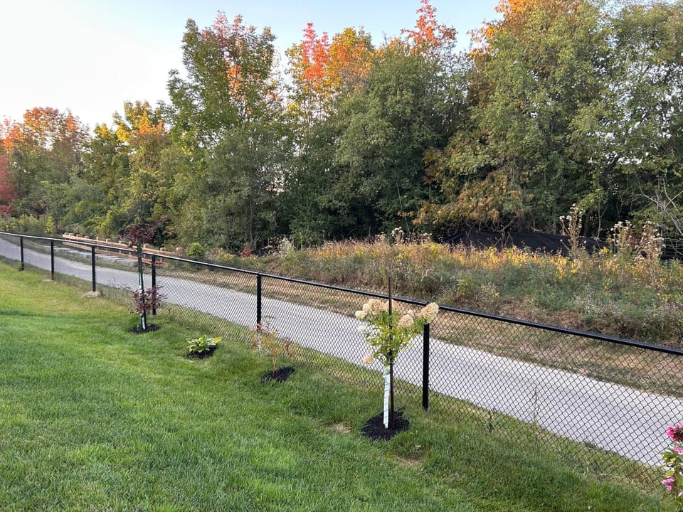 Natural landscape, Garden, Garden view