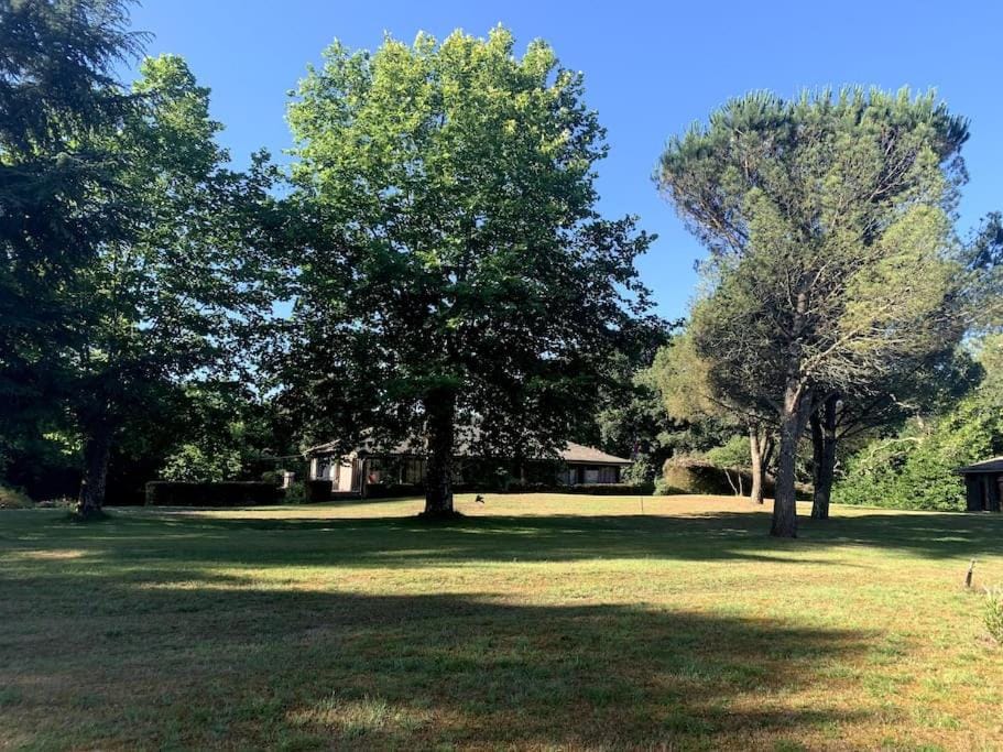 Natural landscape, Garden, Garden view