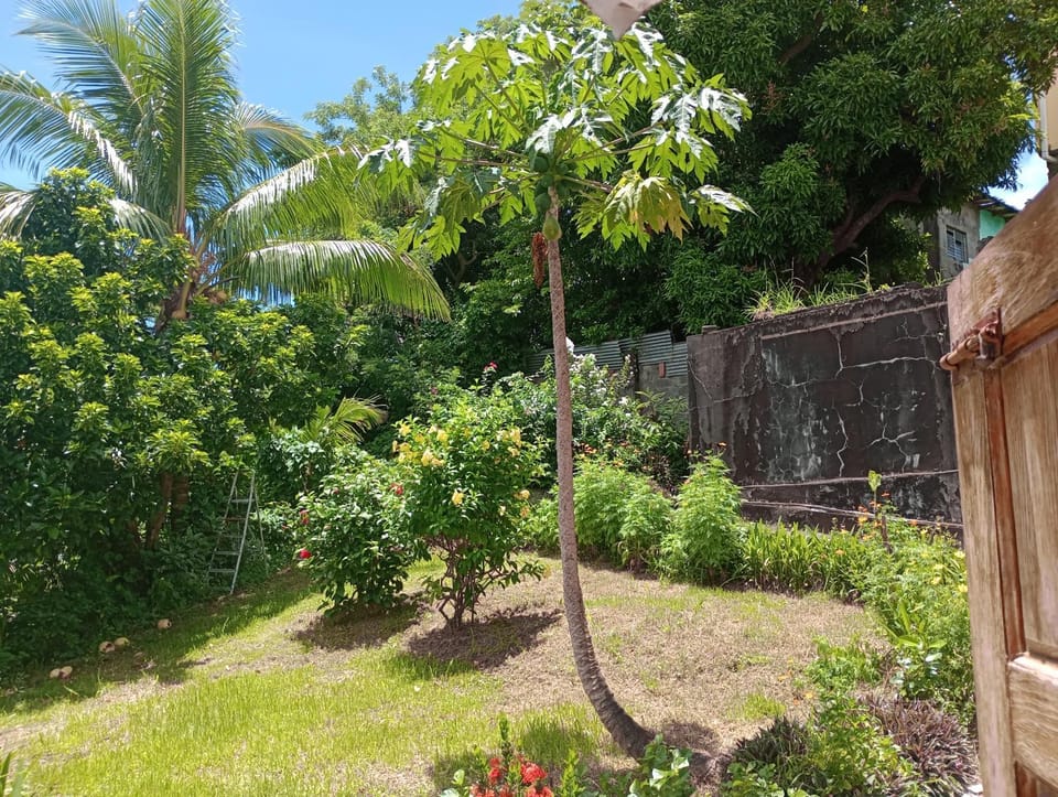 Day, Garden view
