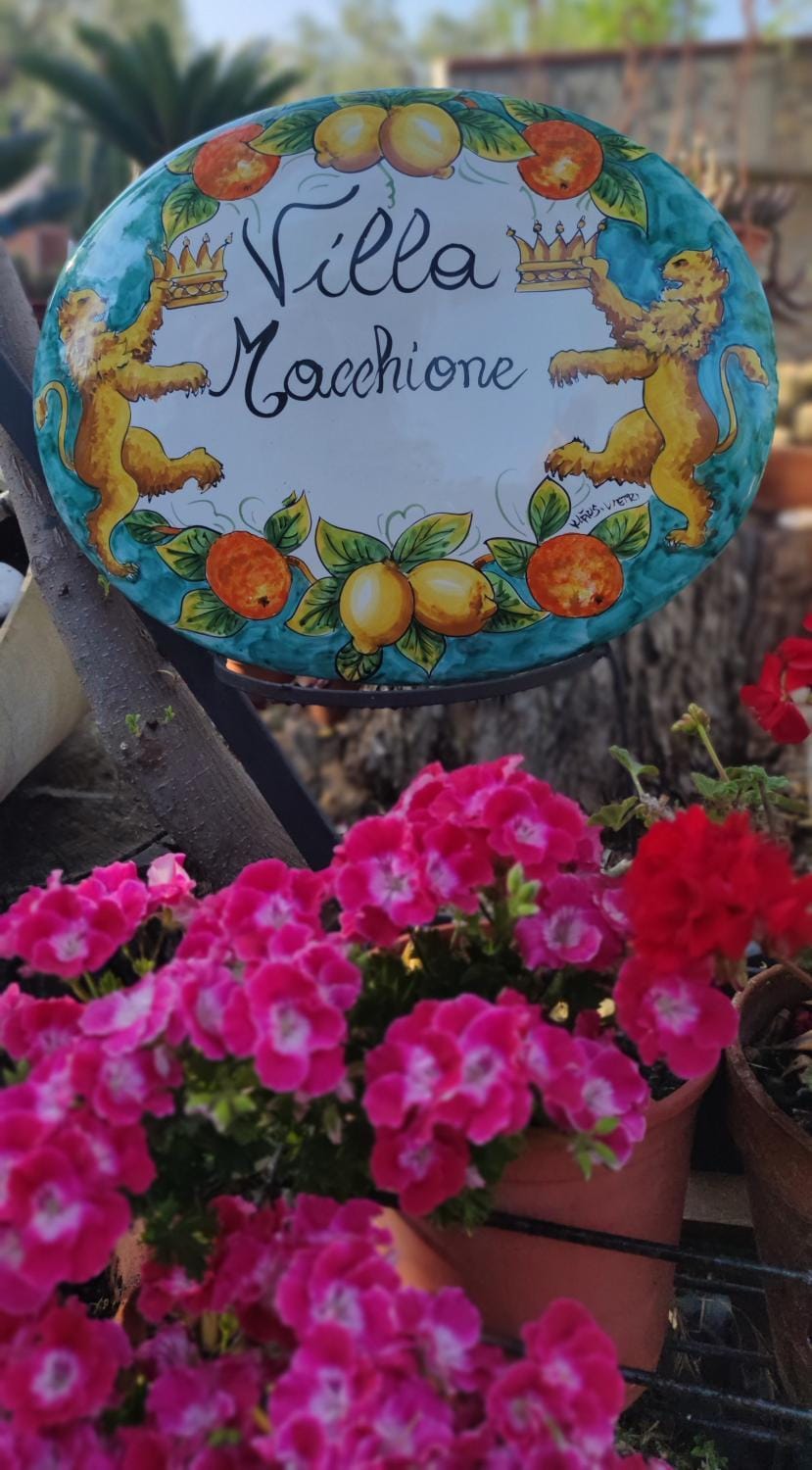Logo/Certificate/Sign