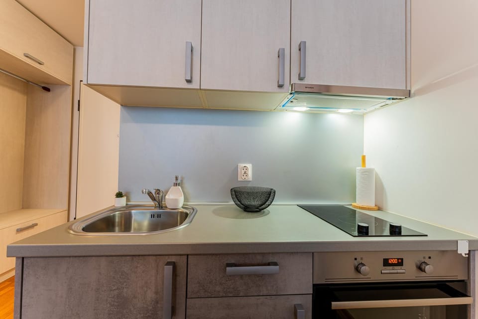 Kitchen or kitchenette, dishwasher, heating, internet, oven, stove, wardrobe
