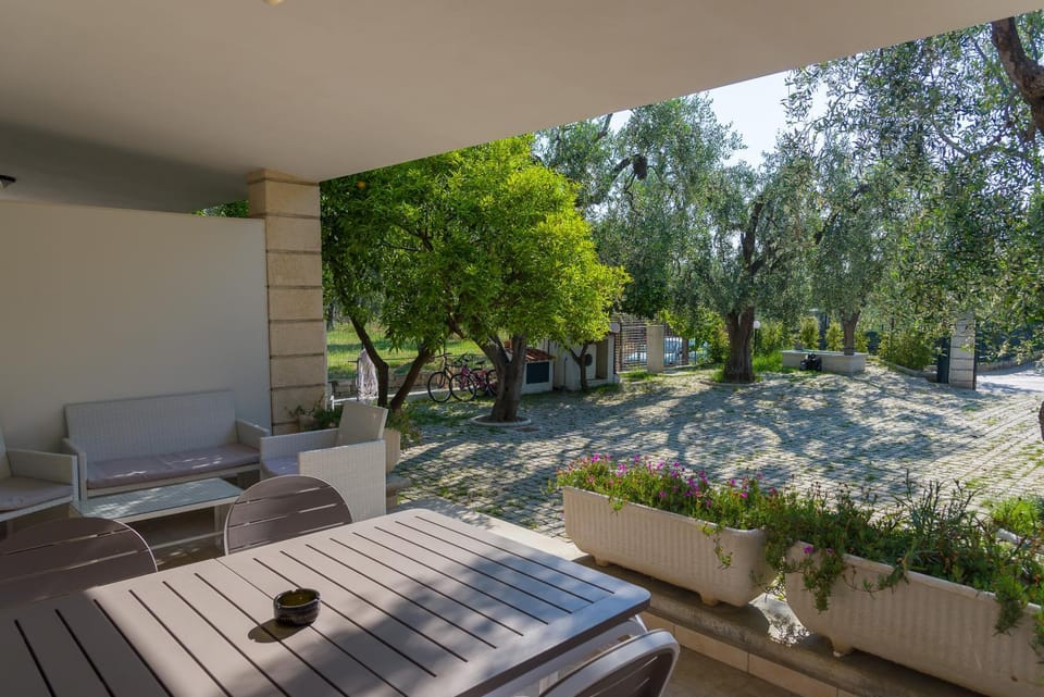 Patio, Spring