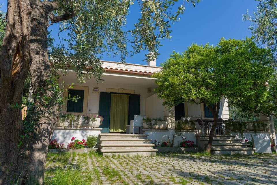 Patio, Facade/entrance