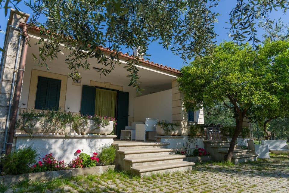 Patio, Facade/entrance