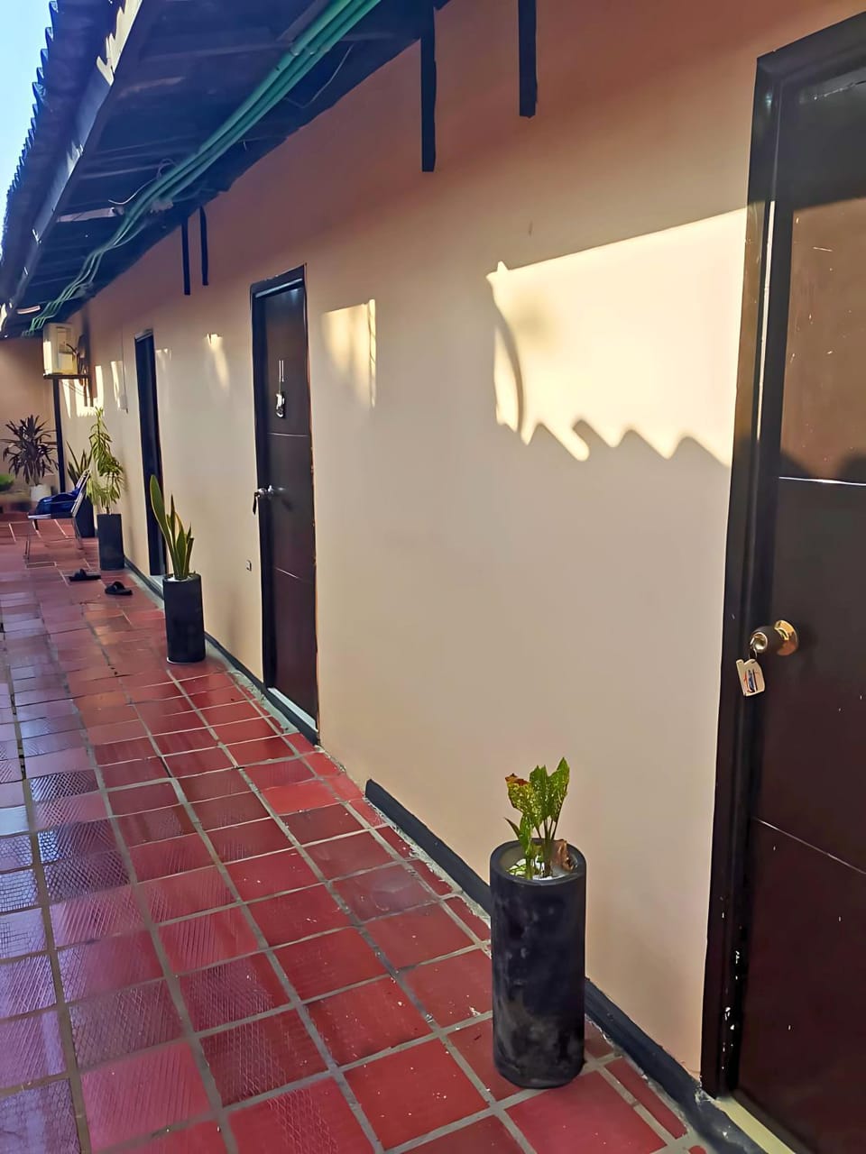 Property building, Day