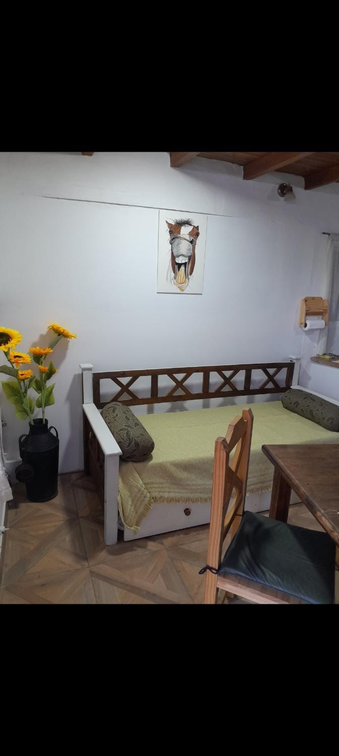 El Arte-Sano Apartment in Tandil